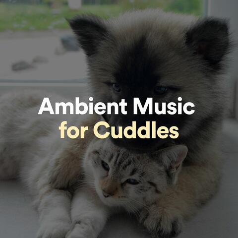 Ambient Music for Cuddles