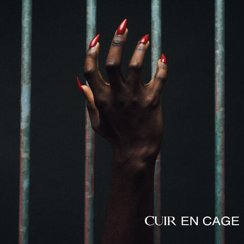 Cuir en cage