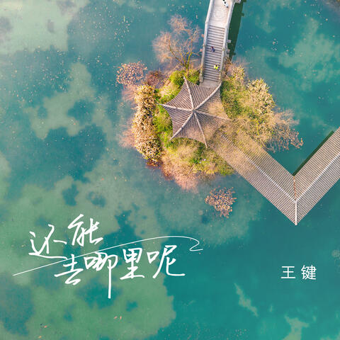 还能去哪里呢