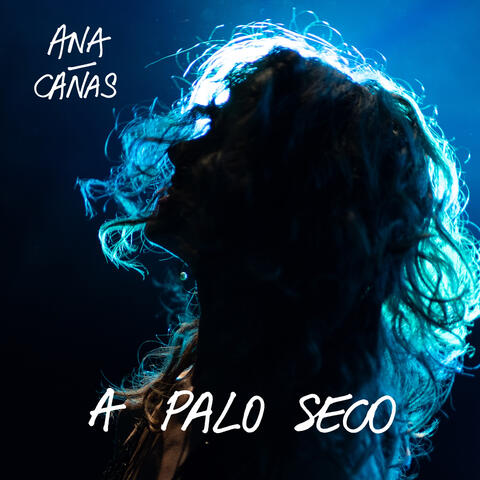 A Palo Seco