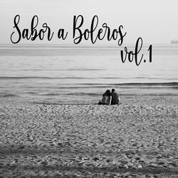 Siempre En Mi Corazon