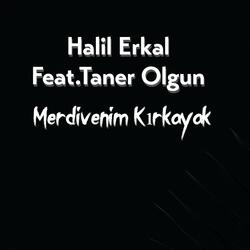 Merdivenim Kırkayak