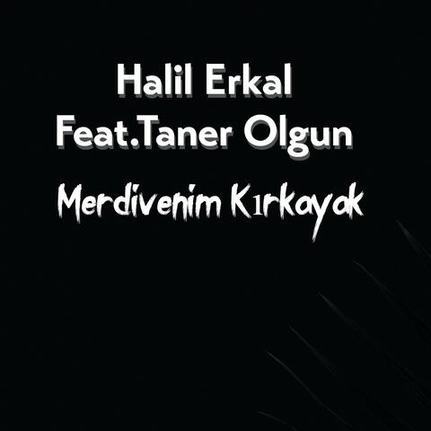 Merdivenim Kırkayak