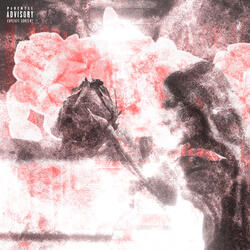 Ягоды Годжи