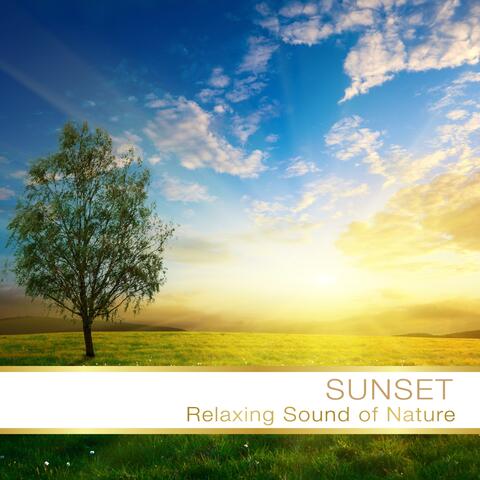 Sunset Relax