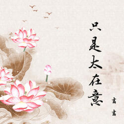 只是太在意