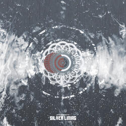 Black Hole