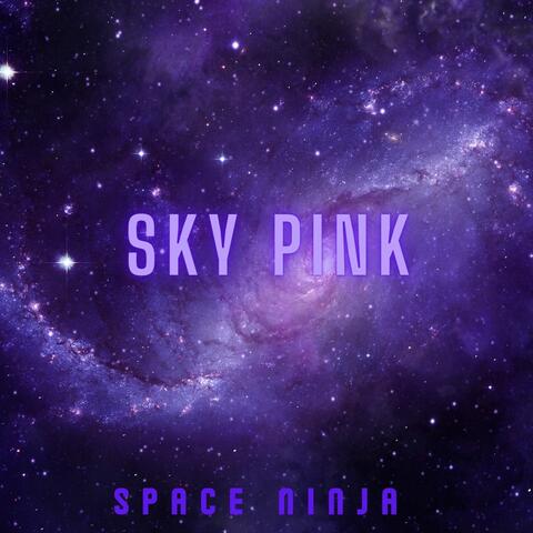 Space Ninja