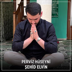 Şehid Elvin