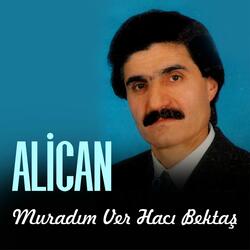 Baş Ucuma Baykuş Kondu