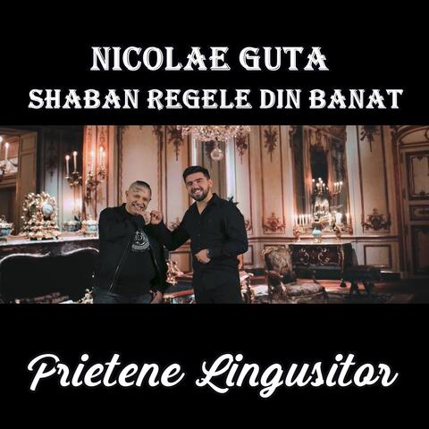 Prietene Lingusitor