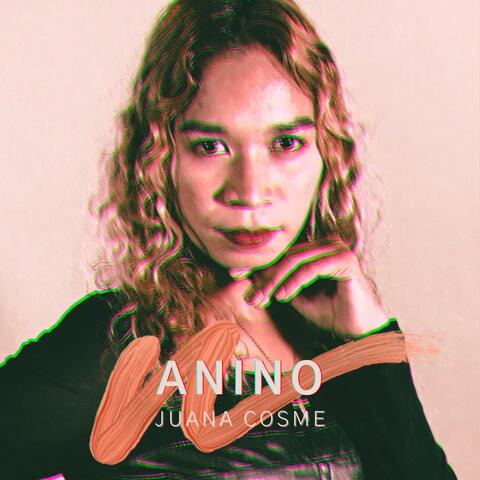 Anino