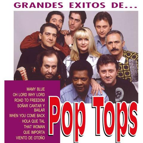 Los Grandes Exitos de Pop Tops