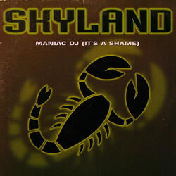 Maniac DJ (It's a Shame)