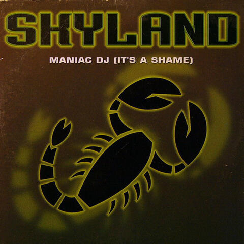 Maniac DJ (It's a Shame)