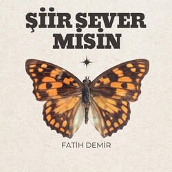Şiir Sever Misin?