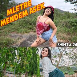 Mletre Mendem Asek