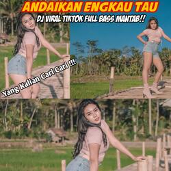 DJ Andaikan Engkau Tau