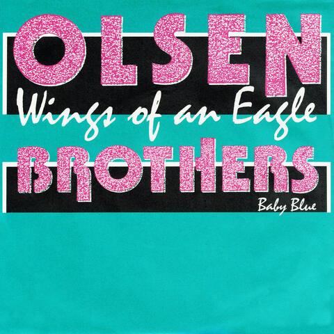 Wings Of An Eagle