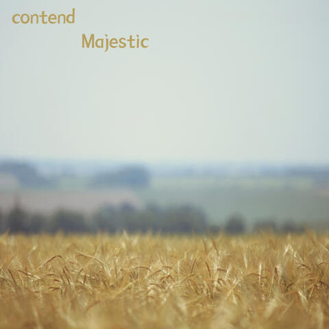 contend