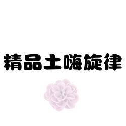 精品土嗨旋律