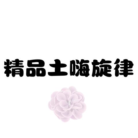 精品土嗨旋律