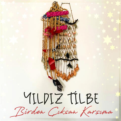 Birden Çıksan Karşıma