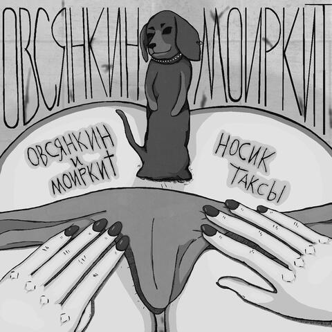 Носик таксы