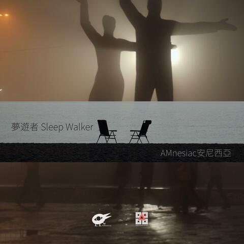 Sleep Walker