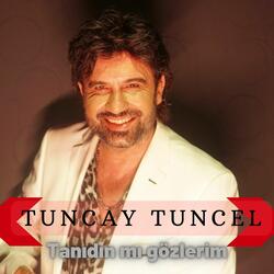 Tanıdın mı Gözlerim