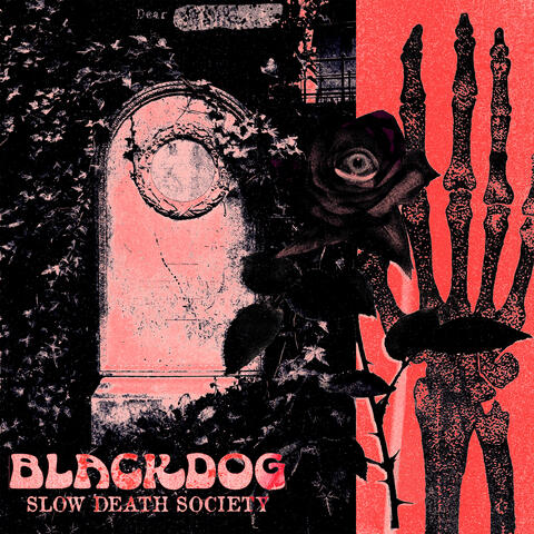 Slow Death Society
