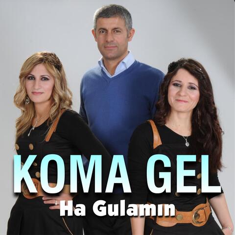 Ha Gulamın