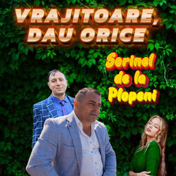 VRAJITOARE,DAU ORICE