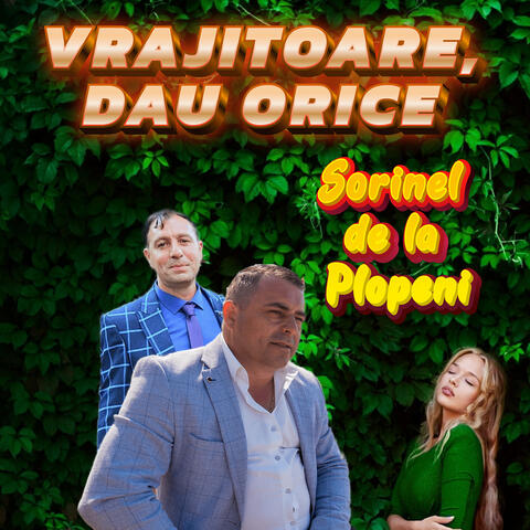 VRAJITOARE,DAU ORICE