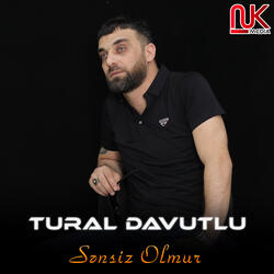 Sənsiz Olmur