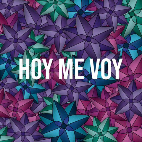 Hoy Me Voy