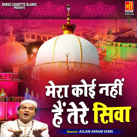 Mera Koi Nahi Hain Tere Siwa