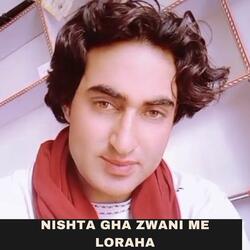 Nishta Gha Zwani Me loraha