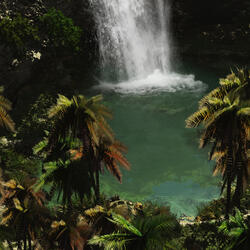 樱花树下的爱情