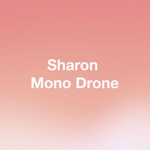 Mono Drone