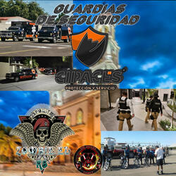 GUARDIAS DE SEGURIDAD
