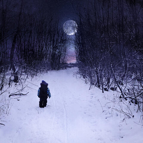 Nie wieder Winter