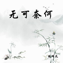 无可奈何