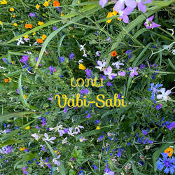 Vabi - Sabi