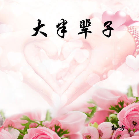 大半辈子