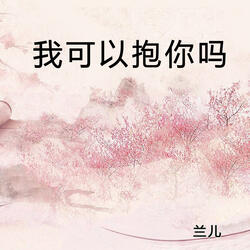 我可以抱你吗