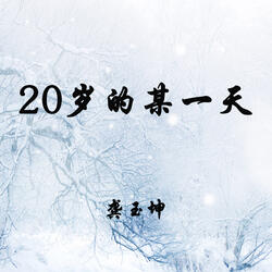 20岁的某一天