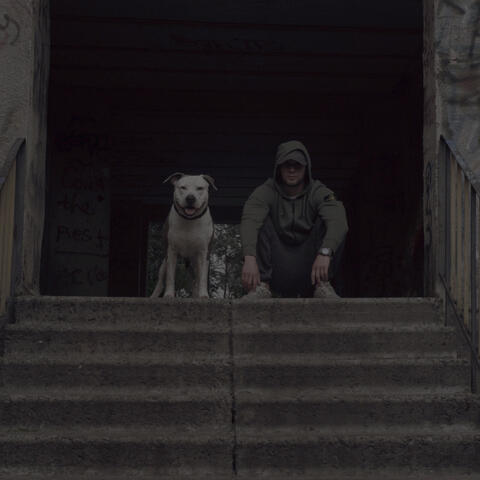 Стоник