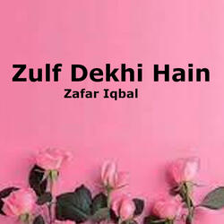 Zulf Dekhi Hain