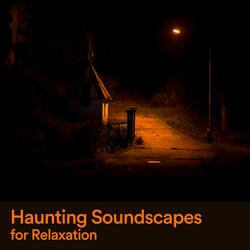 Haunting Soundscapes for Relaxation, Pt. 29